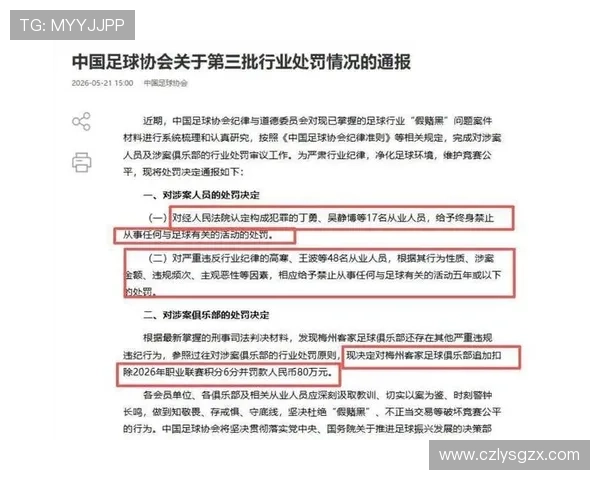第三批假赌黑处罚震荡足坛梅州被扣六分六十五人受罚十七人终身禁赛内幕全揭晓